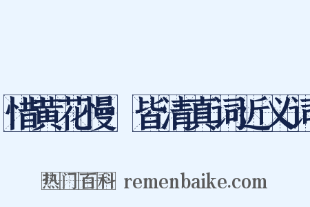 惜黄花慢·皆清真词近义词是什么意思的图片
